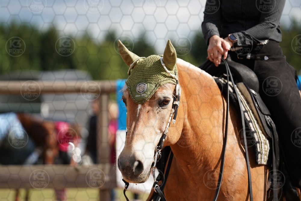 s_A9_03520.jpg